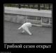 Без описания