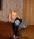 предыдушее фото