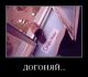 Без описания