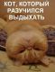 Может Рот в Рот