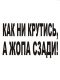 А МУДрость спереди!