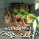 КотЭ