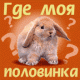 Кролик-лапа!