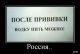 Без описания