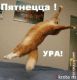 Без описания