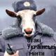 Без описания