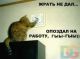 следующее фото