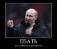 Без описания