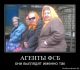 Без описания