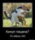 Без описания