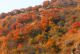 осень в горах