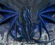 Blue Dragon