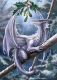 White Snow Dragon