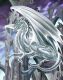 White Snow Dragon