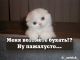 Без описания
