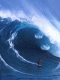 1207891347_7447.gif