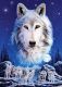 White Wolfs