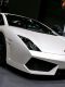 Lamborgini