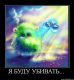 Без описания