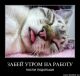 Без описания