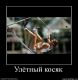 Без описания