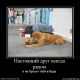 Без описания