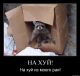 Без описания
