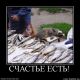 Без описания