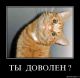 Без описания