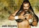 Jake Roberts
