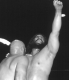 16.BRUISER BRODY