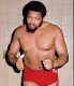 7."BIG CAT" ERNIE LADD