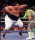4.YOKOZUNA