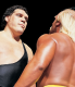 2.ANDRE THE GIANT