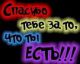 Ты мое счастье