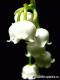1273902211_6336.gif