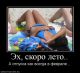 Без описания
