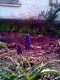 1272455888_3667.gif