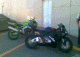 1281848349_6082.gif