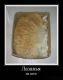 Лазанья из кота :)