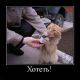 Без описания