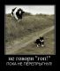Без описания