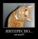 Без описания
