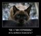 Без описания