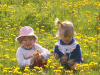 1277908049_3786.gif