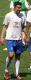 Robin van Persie the Netherlands....................................................................