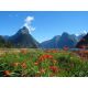 New Zealand