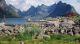 Lofoten Norvege