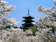 Kyoto