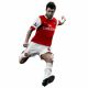 cesc fabregas